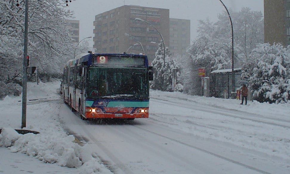 Photo de saison