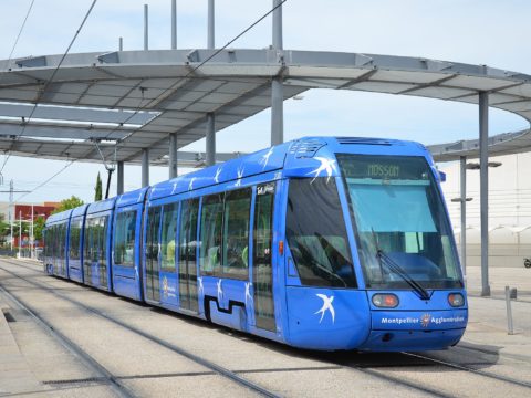 Gratuité des transports à Montpellier : l’opposition craint une “dégradation de la qualité de l’offre”