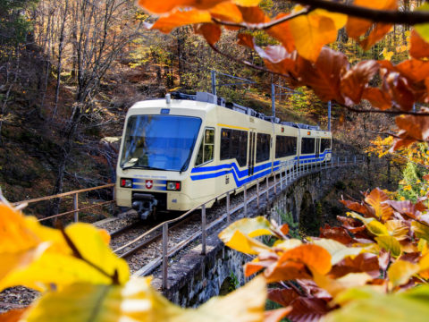 Chemin de fer Vigezzina-Centovalli : centenaire mais plus vivant que jamais