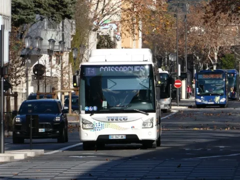 A défaut d’être équipée d’un réseau de tramways, Nîmes dispose à ce jour de quatre lignes structurantes baptisées Tram’bus